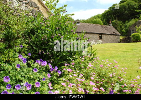 Dog walkers passano dalla pietra costruito case su acqua Peakshole nel cuore di Castleton village, Peak District DERBYSHIRE REGNO UNITO GB UE Foto Stock