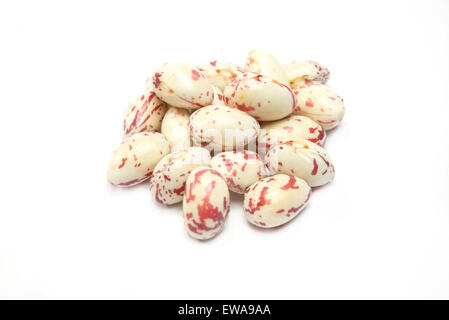 Materie fagioli borlotti isolati su sfondo bianco Foto Stock