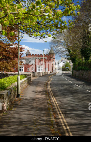 Una tranquilla leafy lane in un villaggio di Devon. Foto Stock