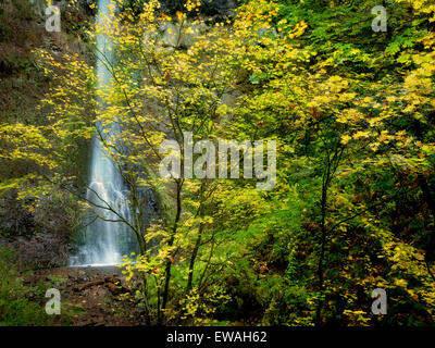 Doppio cade e autunno a colori. Silver Falls State Park, Oregon Foto Stock