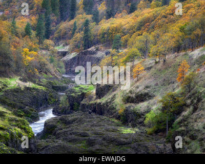 Fiume Klickitat con Autunno a colori. Washington Foto Stock