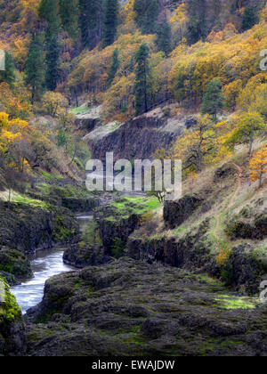 Fiume Klickitat con Autunno a colori. Washington Foto Stock