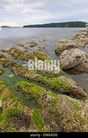 Litorale affacciato sulla scena dello Stretto di Georgia, nei pressi di Nanaimo, Isola di Vancouver, British Columbia Foto Stock