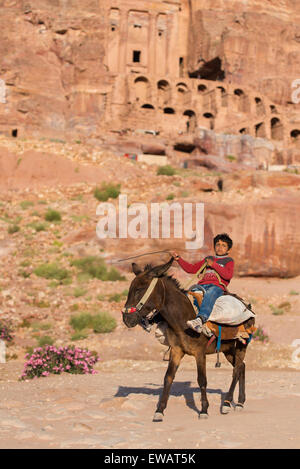 Pilota di asino Foto Stock