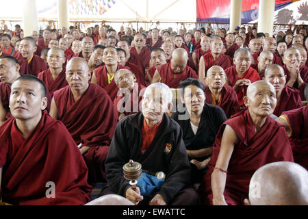 Dharamshala, India. Il 21 giugno, 2015. Buddhisti tibetani monaco seduto alla Tsugla Khang tempio, Mcleodganj, Dharamshala domenica durante la lunga vita di preghiera tibetano leader spirituale il Dalai Lama come oggi tibetani celebra il suo ottantesimo compleanno. Il suo compleanno cade il 6 luglio ma durante quel tempo egli verrà a USA, così il tibetano in esilio e altri seguaci tibetano celebra oggi. Credito: Shailesh Bhatnagar/Pacific Press/Alamy Live News Foto Stock