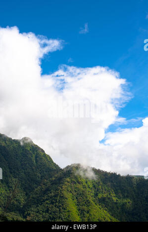 Foresta a montagne coperte nella nebbia Foto Stock