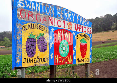 Segno di swanton berry farm pubblicità u pick oranic bacche, kiwi e fragole lungo la Hwy 1 Foto Stock