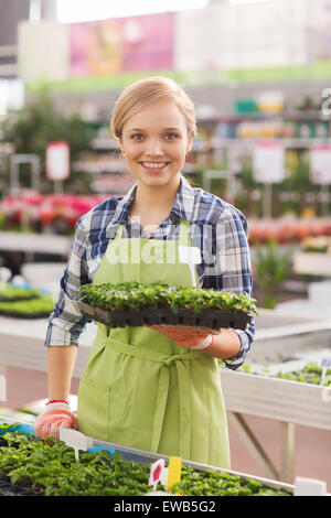 Donna felice azienda piantina in serra Foto Stock