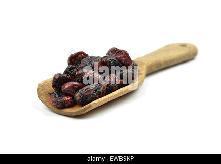 Mirtilli rossi secchi sulla pala Foto Stock