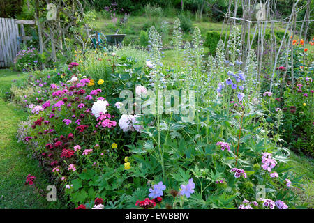 Bel confine erbaceo con delfinio, peonie e dolce williams in un giardino di fiori di campagna nel Carmarthenshire Galles occidentale Regno Unito KATHY DEWITT Foto Stock