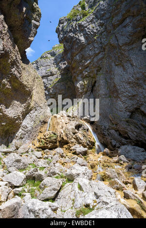 Le cascate a Gordale Scar un calcare burrone vicino Malham, North Yorkshire, Inghilterra Foto Stock