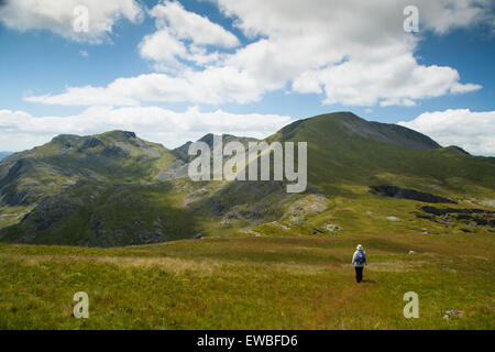 A piedi da Moel-yr-Hydd verso Moelwyn Mawr Galles del Nord. Foto Stock