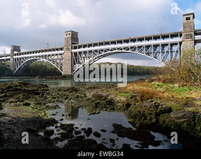 Britannia Bridge dal litorale di Menai Strait, Anglesey, Galles del Nord, Regno Unito Foto Stock