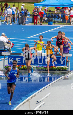 Siepi gara uomini al Kentucky relè. Questo è stato tenuto presso l'Università di Kentucky con pista all'aperto e il campo Foto Stock