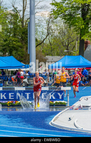 Siepi gara uomini al Kentucky relè. Questo è stato tenuto presso l'Università di Kentucky con pista all'aperto e il campo Foto Stock