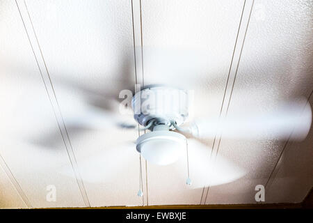 Una rotazione del ventilatore a soffitto Foto Stock