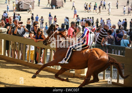 Durante il Palio di trial.Ci sono 6 piste di prova prima della grande gara. Siena è famosa per le sue due volte annuale cavallo razza,Palio Foto Stock