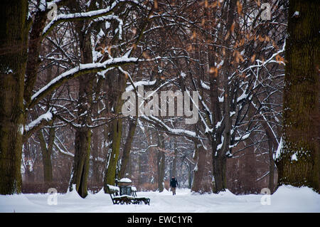 Parco Lazienki in inverno Foto Stock