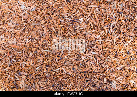 Schegge di legno, piccoli pezzi di legno sul terreno come sfondo Foto Stock