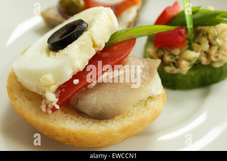 Mini tartine - colorata spuntini freschi sulla piastra bianca. Foto Stock