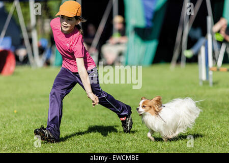 La ragazza e il suo cane di prendere parte ad una competizione di agilità. Germania Foto Stock