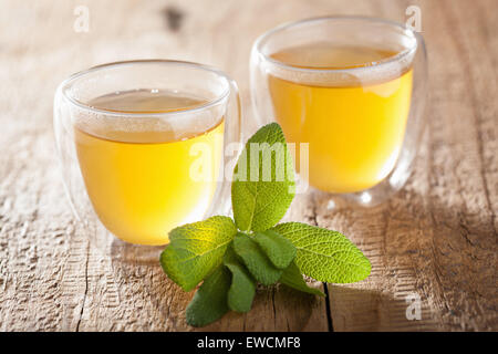 A base di erbe tè di salvia con foglia verde nella coppa di vetro Foto Stock