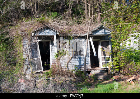 Vecchio abbandonato cabine in legno ricoperta da vegetazione nelle zone rurali di Virginia, Stati Uniti d'America. Foto Stock