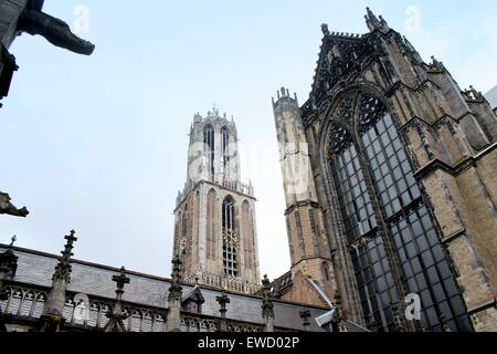 Cortile interno (Pandhof) della gotica Chiesa del Duomo o San Martin's Cathedral, Utrecht, Paesi Bassi, torre di Dom in background Foto Stock