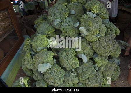Broccoli freschi per la vendita presso il Mercato degli Agricoltori a Park Slope, Brooklyn, New York. Foto Stock