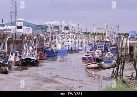 La flotta di Fisher King's Lynn Norfolk Foto Stock