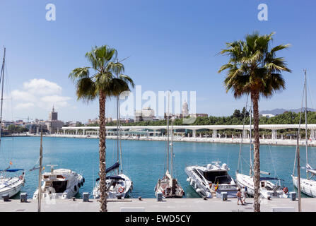 El Muelle Onu, porto di Malaga, Costa del Sol, Andalusia, Spagna. Foto Stock