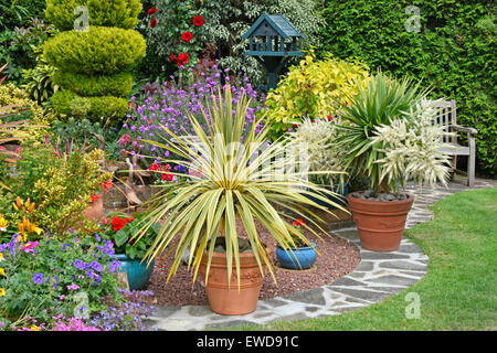Back Garden design piante miste per effetto colore e vasato piante per la flessibilità varie disposizioni con conifere hedge sfondo estate Essex Inghilterra Regno Unito Foto Stock