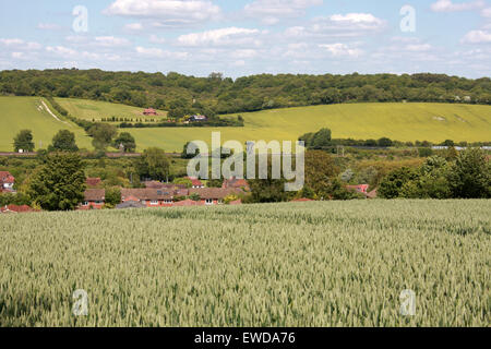 Il Chiltern Hills vicino Cowroast e Tring, Hertfordshire, Regno Unito Foto Stock