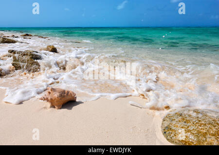 Spiaggia di San paesaggio su isola di Grand Turk - Bahamas. Foto Stock