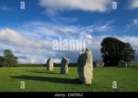 Pietra megalitico circle, Avebury, Wiltshire, Inghilterra. Regno Unito, GB Foto Stock