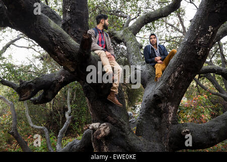 Due giovani uomini seduti in una struttura ad albero Foto Stock