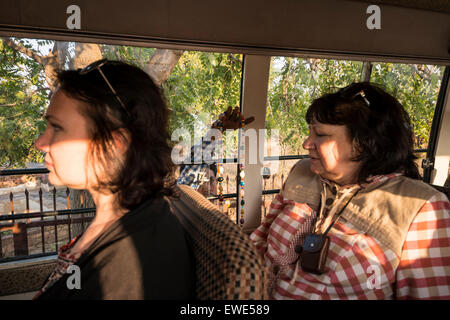 Una strada locale trader cercando di vendere i gioielli per le donne Russe turisti in attesa su un autobus a Fatehpur Sikri, Uttar Pradesh, India Foto Stock