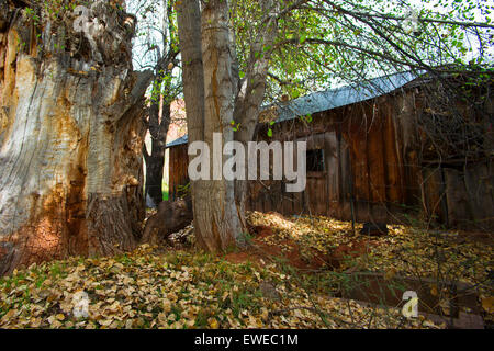 Baita rustica Foto Stock