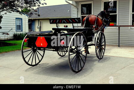 Lancaster County, Pennsylvania: un aperto Amish cavallo e carrozza Buggy parcheggiato di fronte ad un negozio locale * Foto Stock