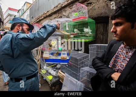 Funzionario di polizia acquistando il canarino sul mercato degli uccelli a Kabul, Afghanistan Foto Stock