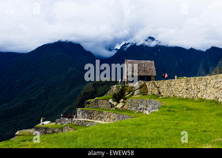 Guardiola a Machu Picchu in Perù. Foto Stock