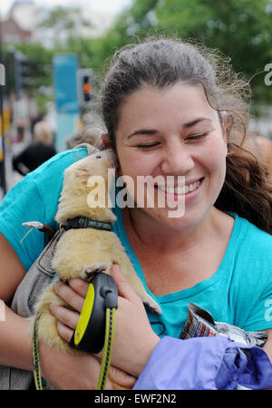 Brighton Regno Unito 23 Giugno 2015 - Jessica Martin spesso può vedere a piedi il suo bianco pet ferret chiamato 'Little Buddha' in giro per le strade di Brighton dove egli è diventato ben noto Foto Stock