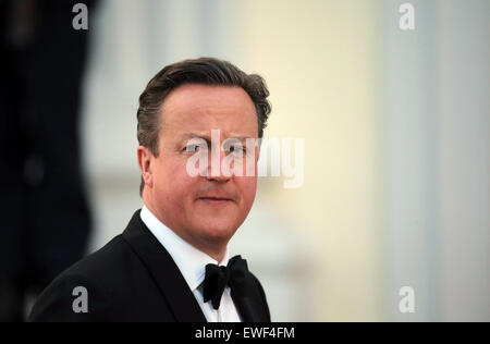 Primo Ministro britannico David Cameron arriva a uno stato banchetto in onore della regina inglese presso il Palazzo Bellevue a Berlino, Germania, 24 giugno 2015. La regina e suo marito sono sulla loro quinta visita di Stato in Germania. Foto: KAY NIETFELD/dpa Foto Stock