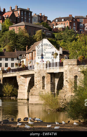 Regno Unito, Inghilterra, Shropshire, Bridgnorth, ponte sul fiume Severn e Ridley il negozio di sementi da east bank, con anatre e oche sul Foto Stock