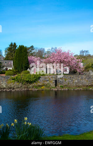 Cottage sulle rive del fiume Cree, Newton Stewart, Wigtownshire, Scozia. Foto Stock