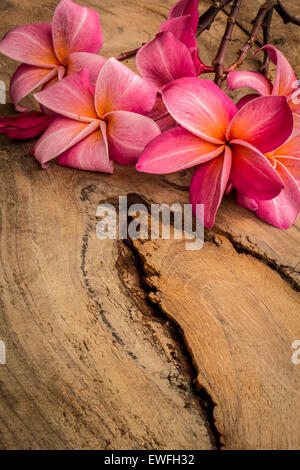 Fiore, plumeria, pavimentazione, textures, fiori di colore rosso, belle piante. Foto Stock