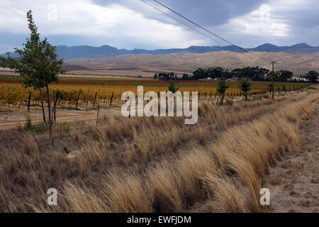 Montagne fuori dalla città di Worcester nel Western Cape, Sud Africa. Foto Stock