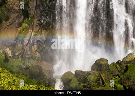 Marokopa Falls cascate vicino a Waitomo in Nuova Zelanda su una giornata d'estate. Foto Stock