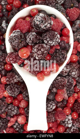 Di colore bianco porcellana ciotola con frutti di bosco surgelati si erge nel mezzo di altre bacche Foto Stock