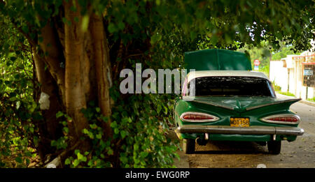 Un'auto d'epoca verde parcheggiata accanto a un albero, che offre uno sguardo nostalgico al design classico dell'automobile. Auto d'epoca come questa evocano ricordi di epoche passate, con design e colori distinti che non sono più comuni nelle auto moderne. Foto Stock